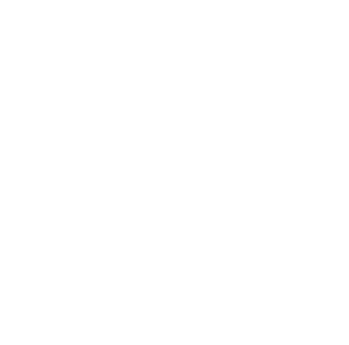 Danish Security Fair - fagmessen for hele sikringsbranchen